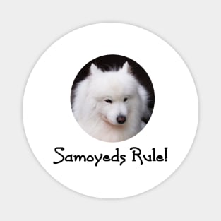 Samoyeds Rule! Magnet